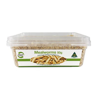 Pisces Enterprises Live Food Tub Live Food Mealworms - Regular 50g Tub