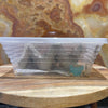 Load image into Gallery viewer, Pisces Enterprises Live Food Tub Medium Cricket Tub