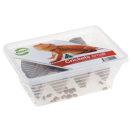 Pisces Enterprises Live Food Tub Small Cricket Tub