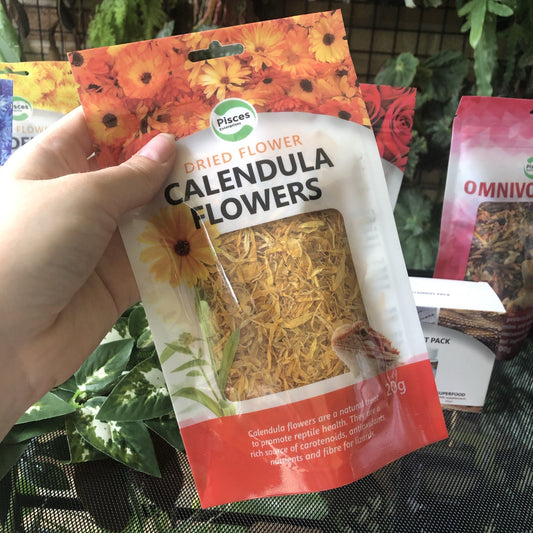 Pisces Enterprises Reptile Food Edible Flower Treats for Reptiles Calendula Flowers
