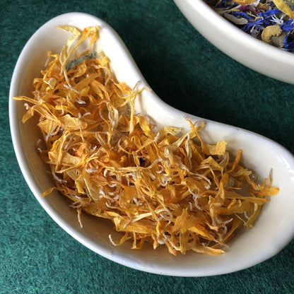 Pisces Enterprises Reptile Food Edible Flower Treats for Reptiles Calendula Flowers