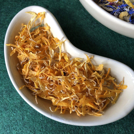 Pisces Enterprises Reptile Food Edible Flower Treats for Reptiles Calendula Flowers