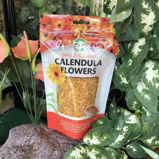 Pisces Enterprises Reptile Food Edible Flower Treats for Reptiles Calendula Flowers
