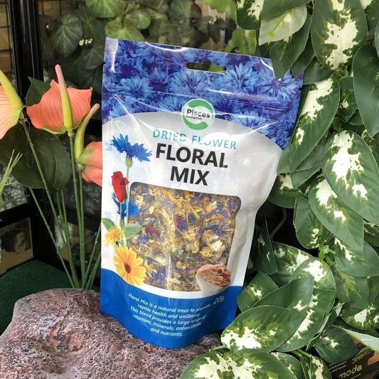 Pisces Enterprises Reptile Food Edible Flower Treats for Reptiles Floral Mix
