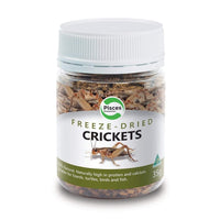 Pisces Enterprises Reptile Food Freeze-dried Crickets Pisces 35g Jar