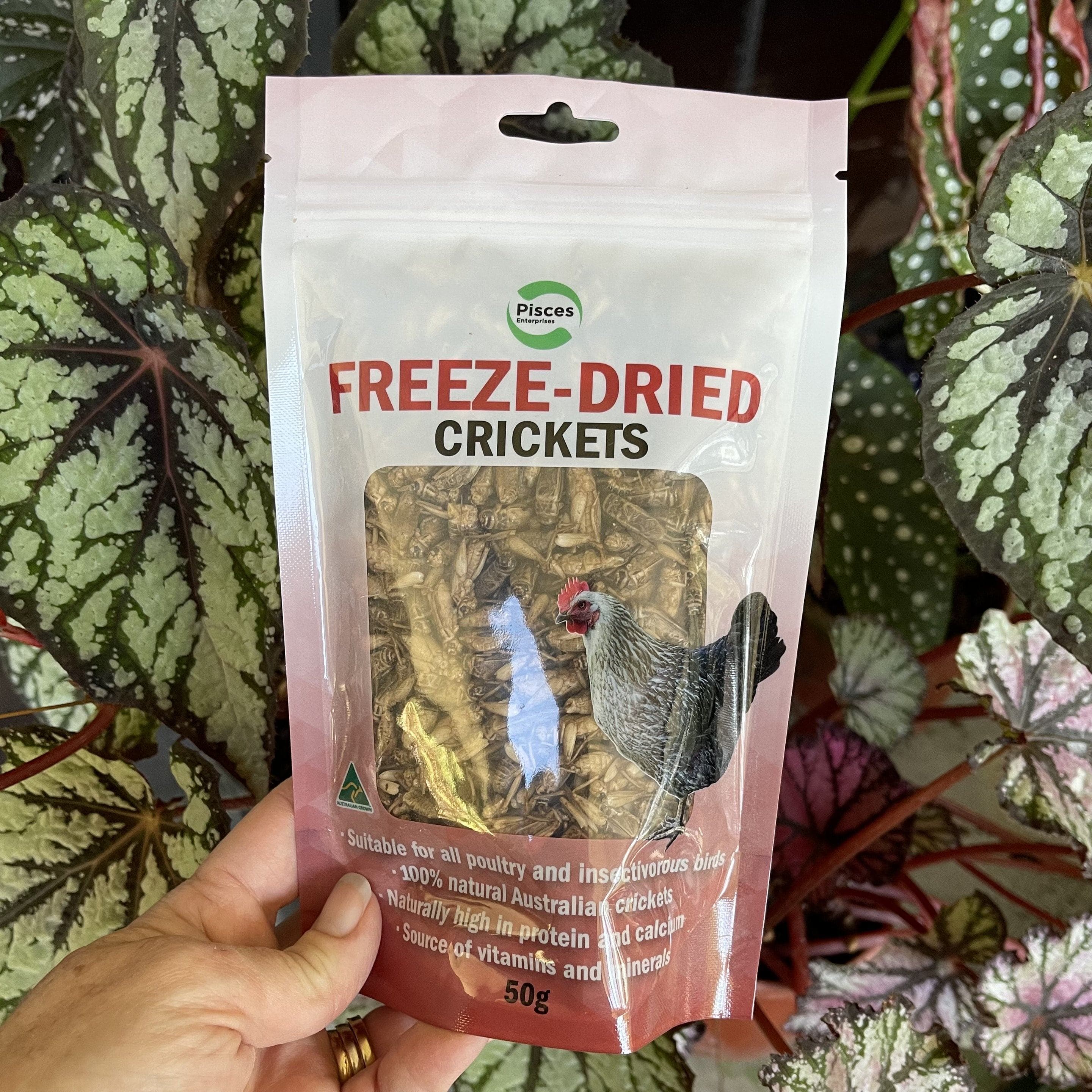 Pisces Enterprises Reptile Food Freeze-dried Crickets Poultry Bag 50g