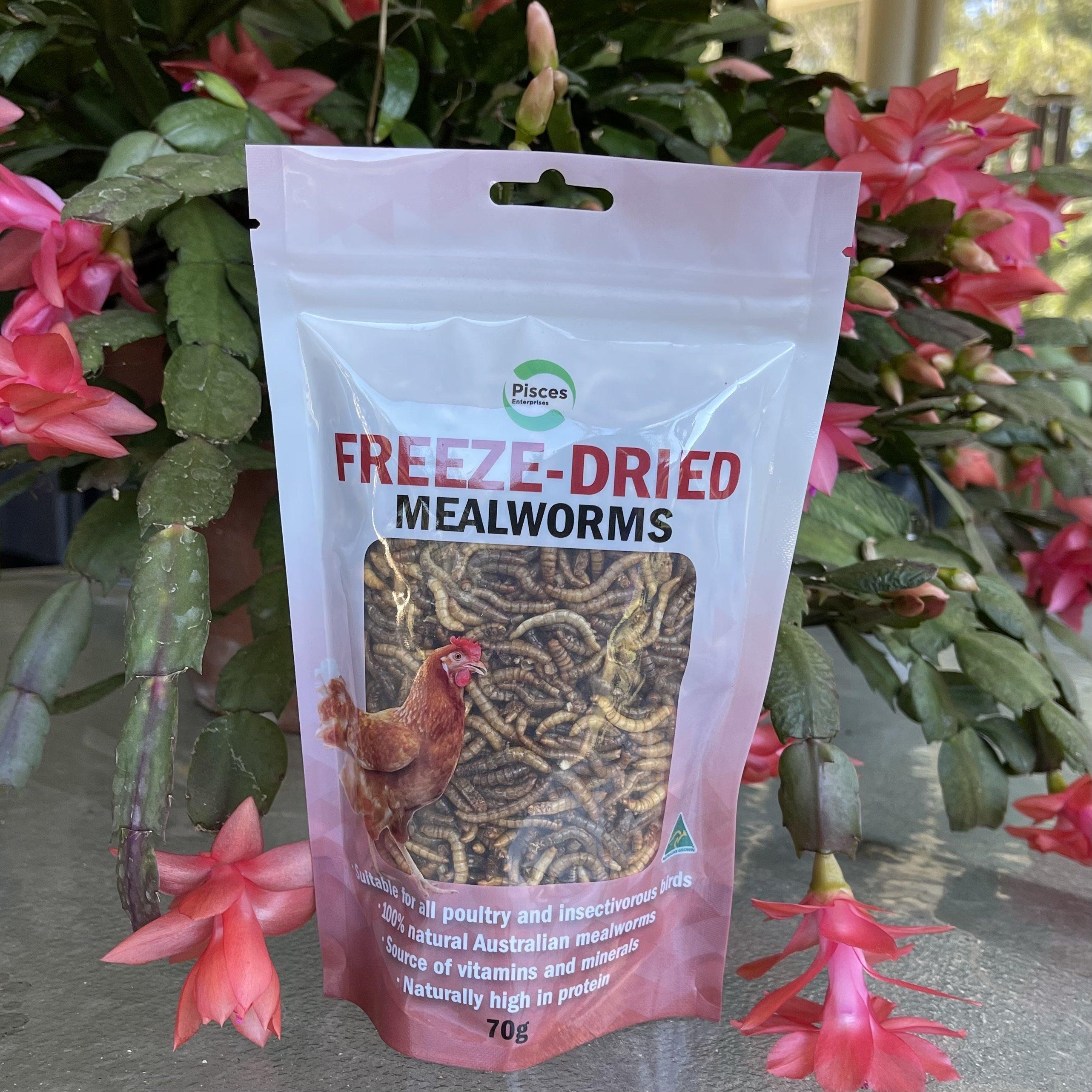 Freeze-dried Mealworms Poultry Bag 70g Chicken Food – Reptile Realm