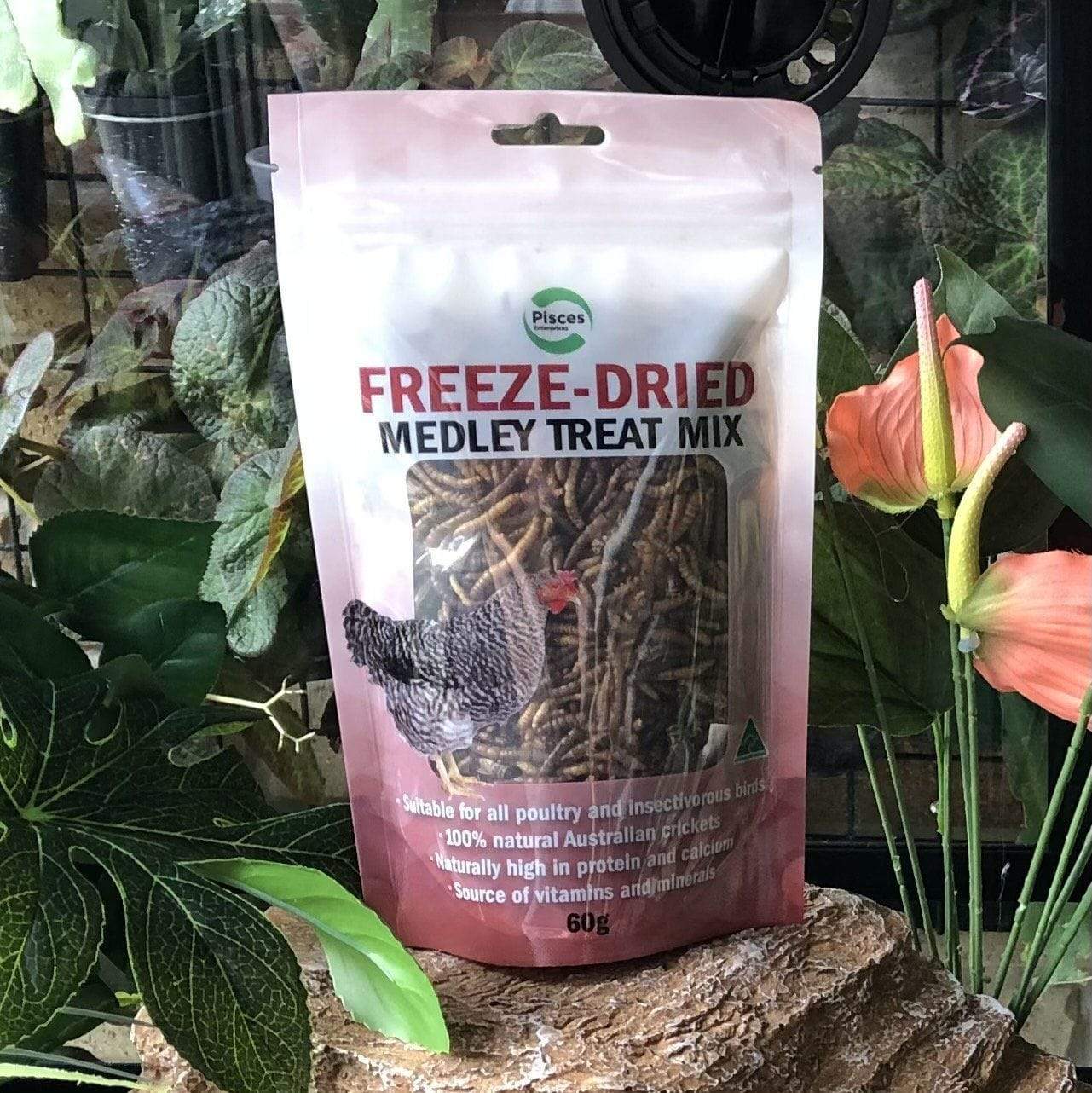 Pisces Enterprises Reptile Food Freeze-dried Medley Poultry Bag 60g