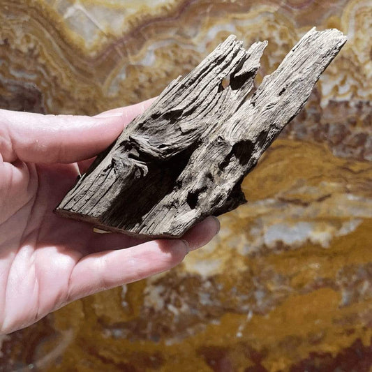 Reptile Realm Driftwood Malaysian Driftwood - Extra-Small (8-14cm)