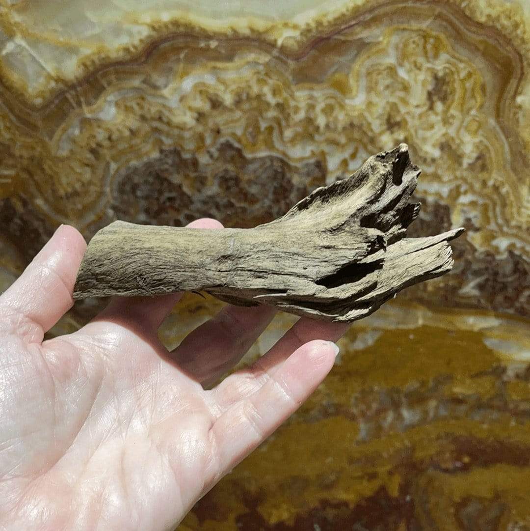 Reptile Realm Driftwood Malaysian Driftwood - Extra-Small (8-14cm)