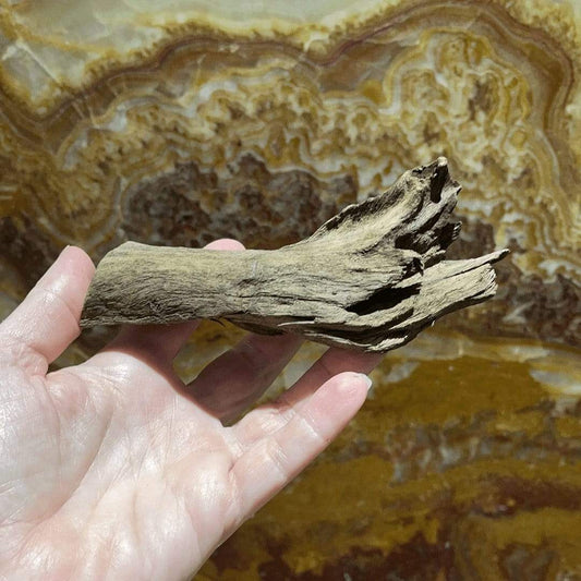 Reptile Realm Driftwood Malaysian Driftwood - Extra-Small (8-14cm)