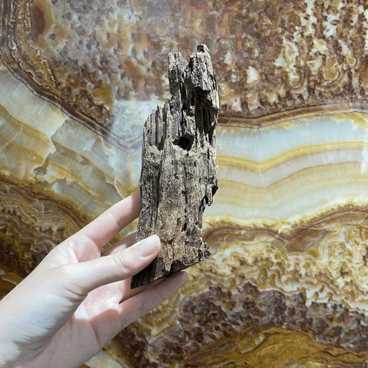 Reptile Realm Driftwood Malaysian Driftwood - Extra-Small (8-14cm)