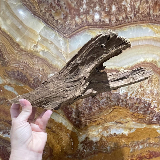 Reptile Realm Driftwood Malaysian Driftwood - Medium (25-34cm)