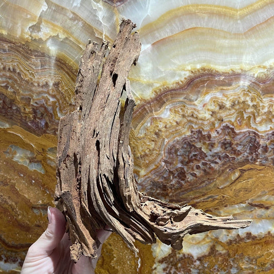Reptile Realm Driftwood Malaysian Driftwood - Medium (25-34cm)