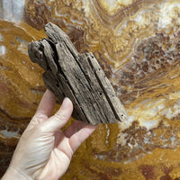Reptile Realm Driftwood Malaysian Driftwood - Small (15-24cm)