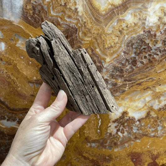Reptile Realm Driftwood Malaysian Driftwood - Small (15-24cm)
