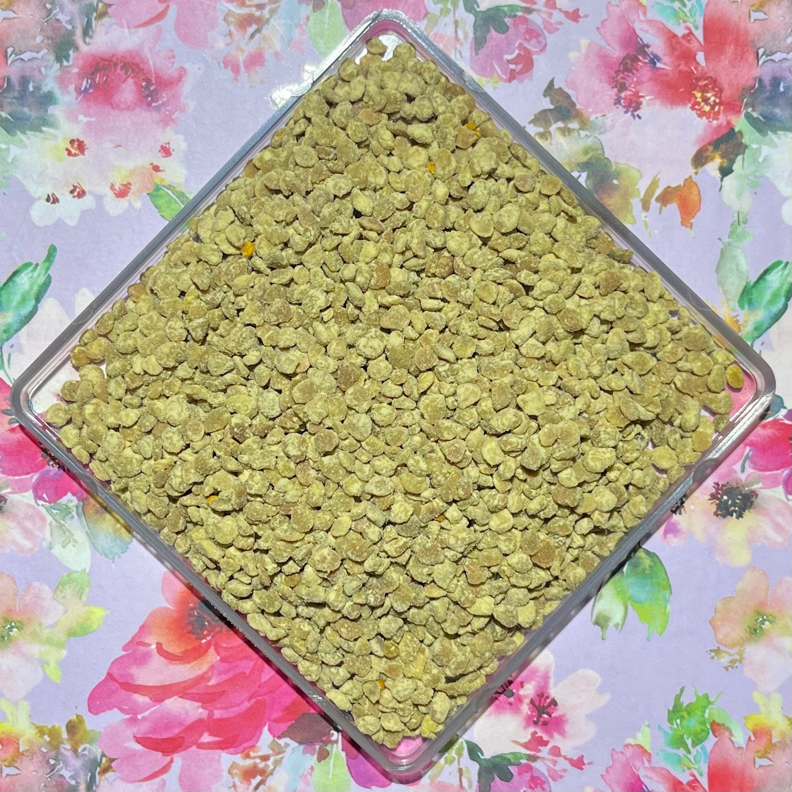 Bee Pollen to feed Bearded Dragons - Reptile Realm