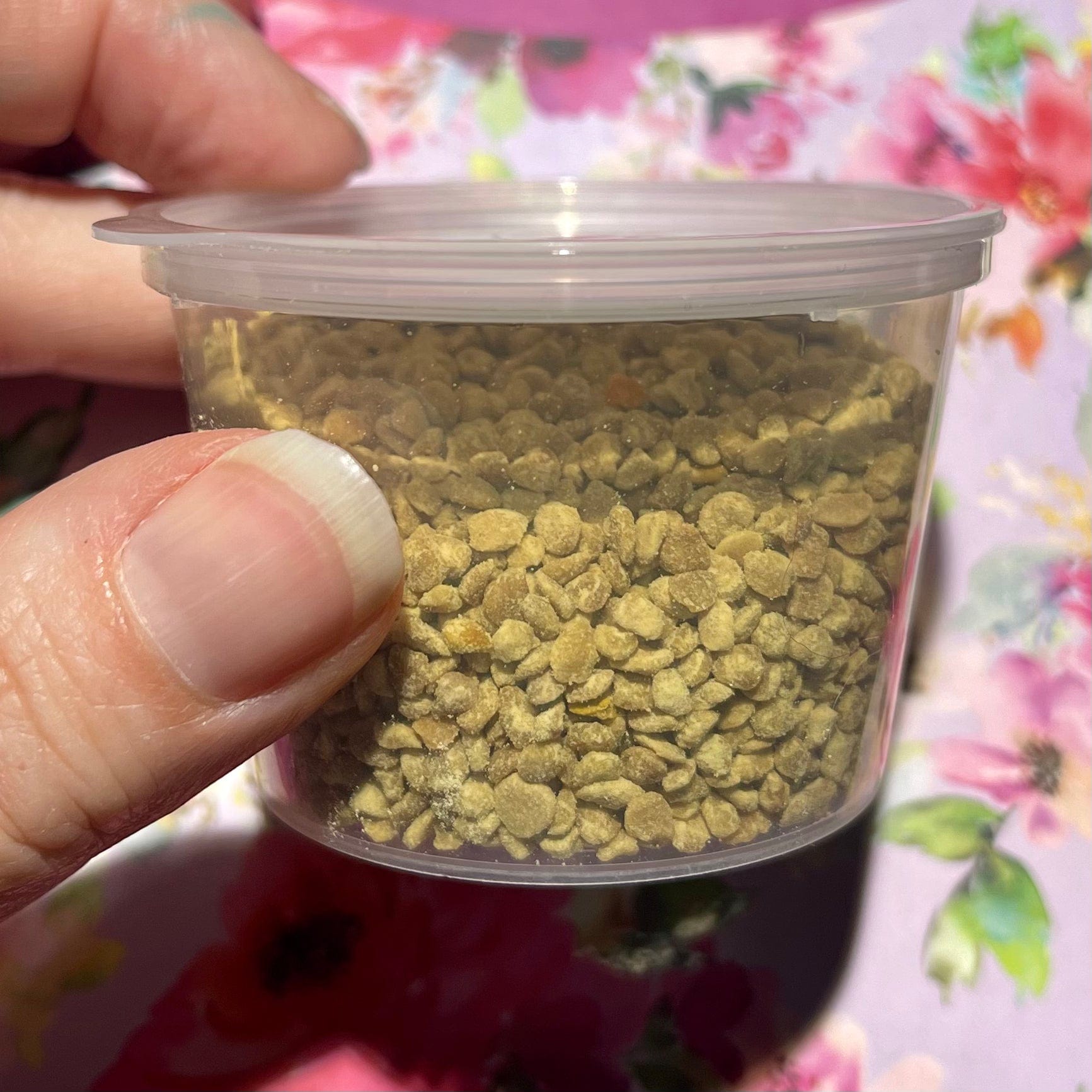 Bee Pollen to feed Bearded Dragons - Reptile Realm